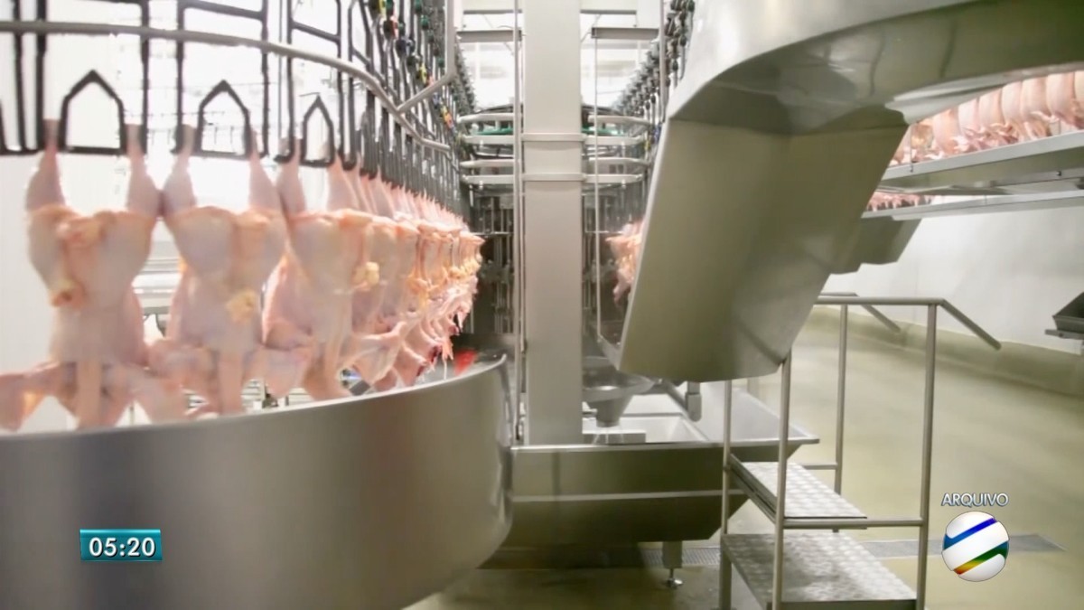 Frango: com oferta doméstica abaixo de níveis pré-gripe aviária, preços sobem em SP; entenda