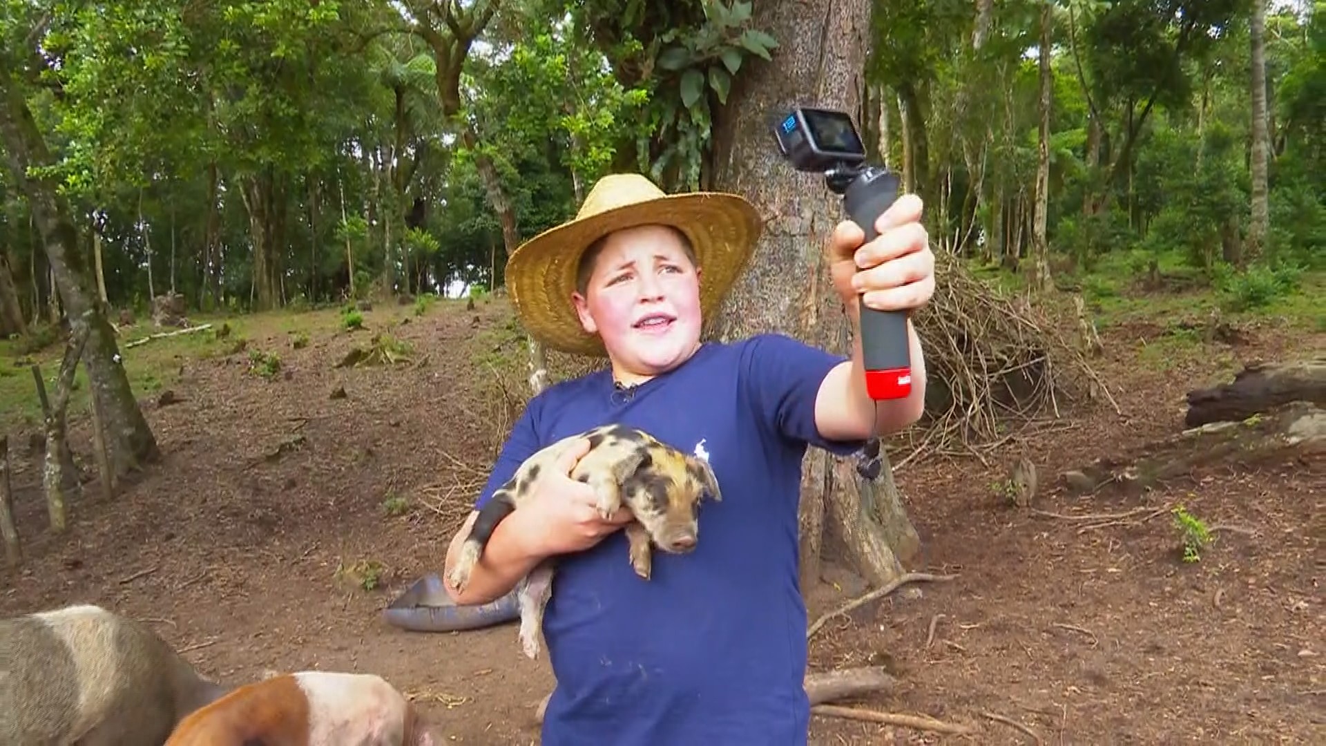 'Influencer da roça' viraliza ao compartilhar rotina no campo, no Paraná: 'Não faço roteiro nenhum'