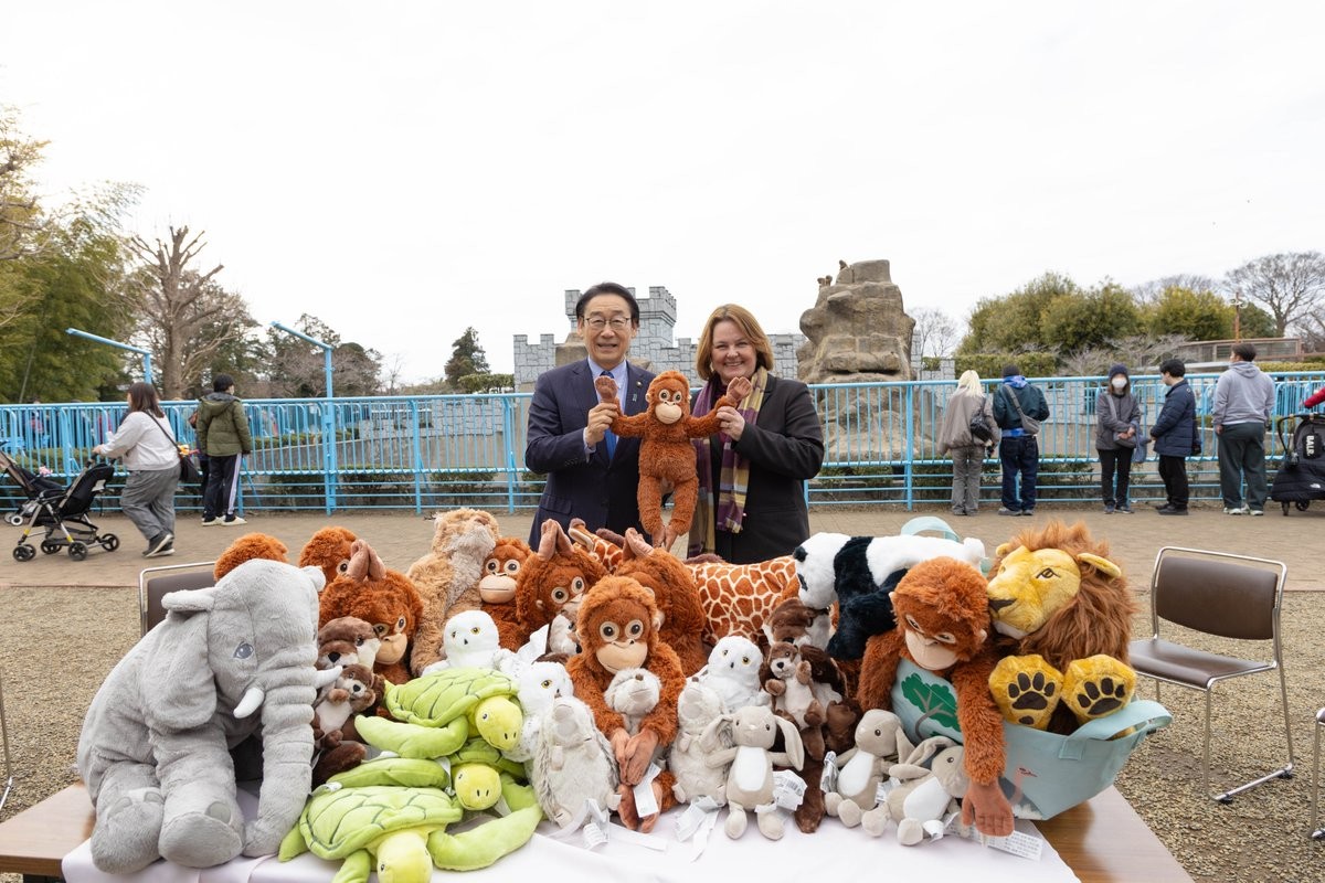 É #FATO: Macaco filhote rejeitado pela mãe 'adota' orangotango de pelúcia em zoológico do Japão; assista