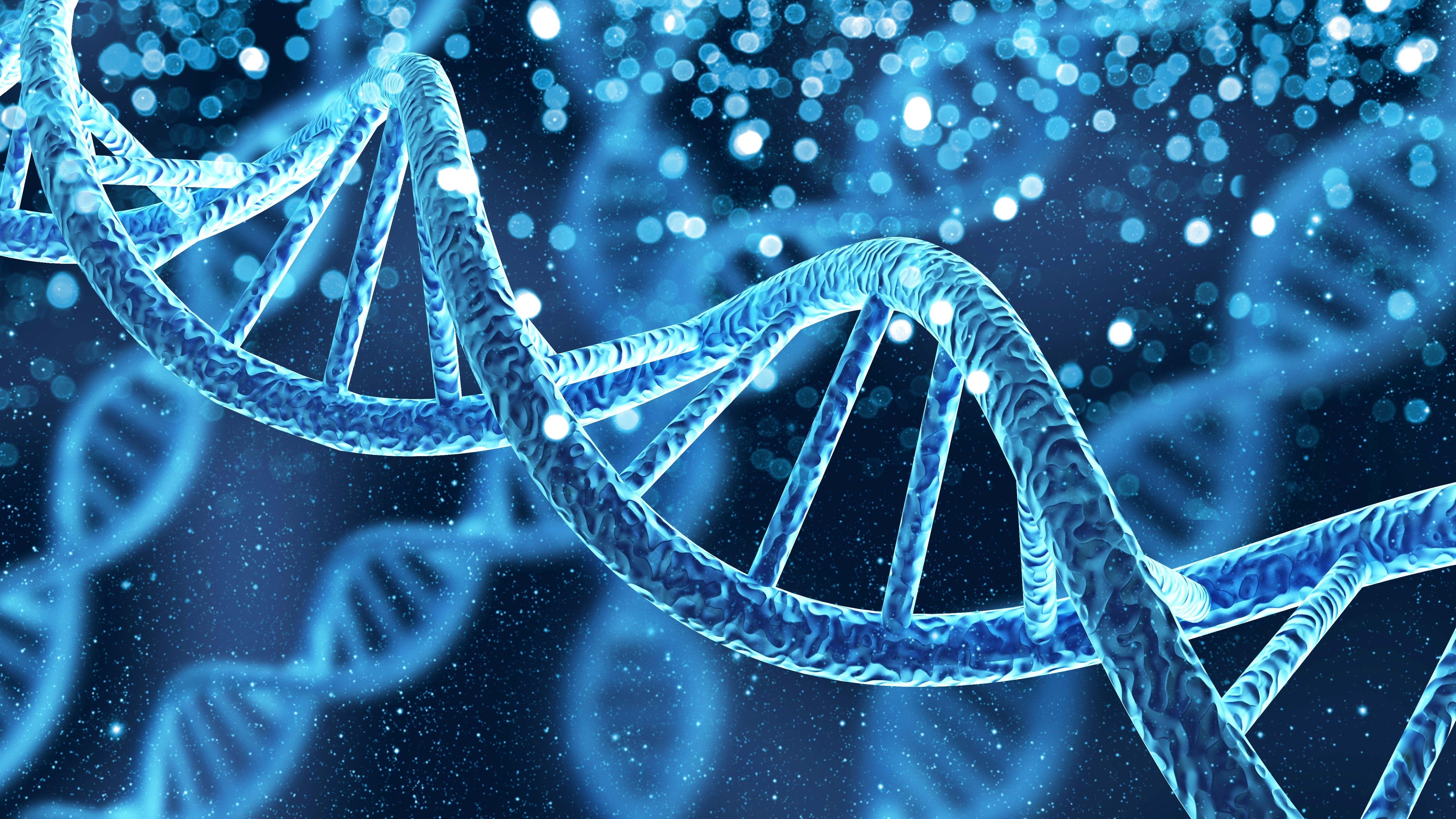 Gene que pode explicar pais afetuosos ou agressivos é identificado por cientistas