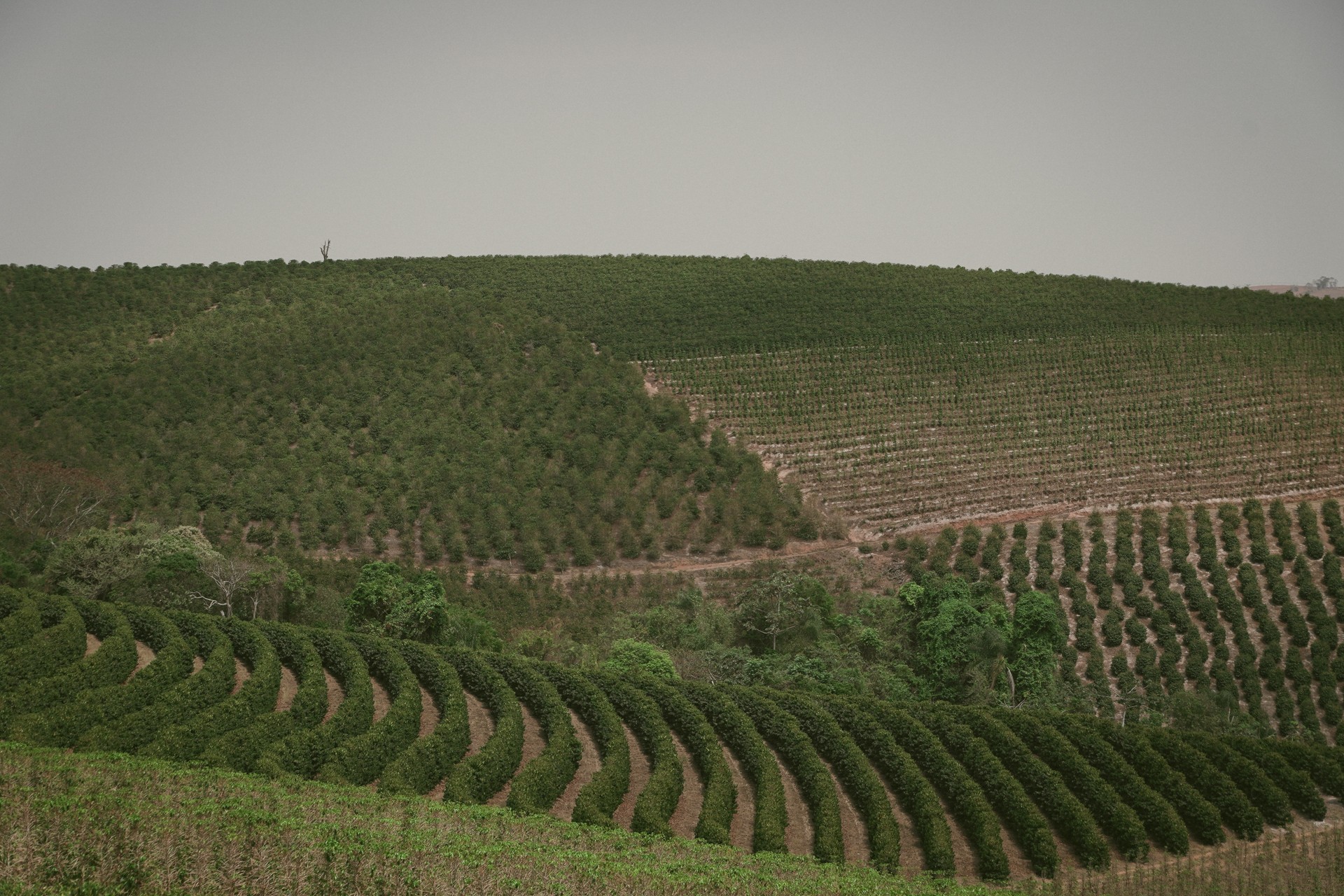 Preço da terra no Brasil varia de R$ 1 mil a R$ 2 milhões por hectare; entenda o que influencia