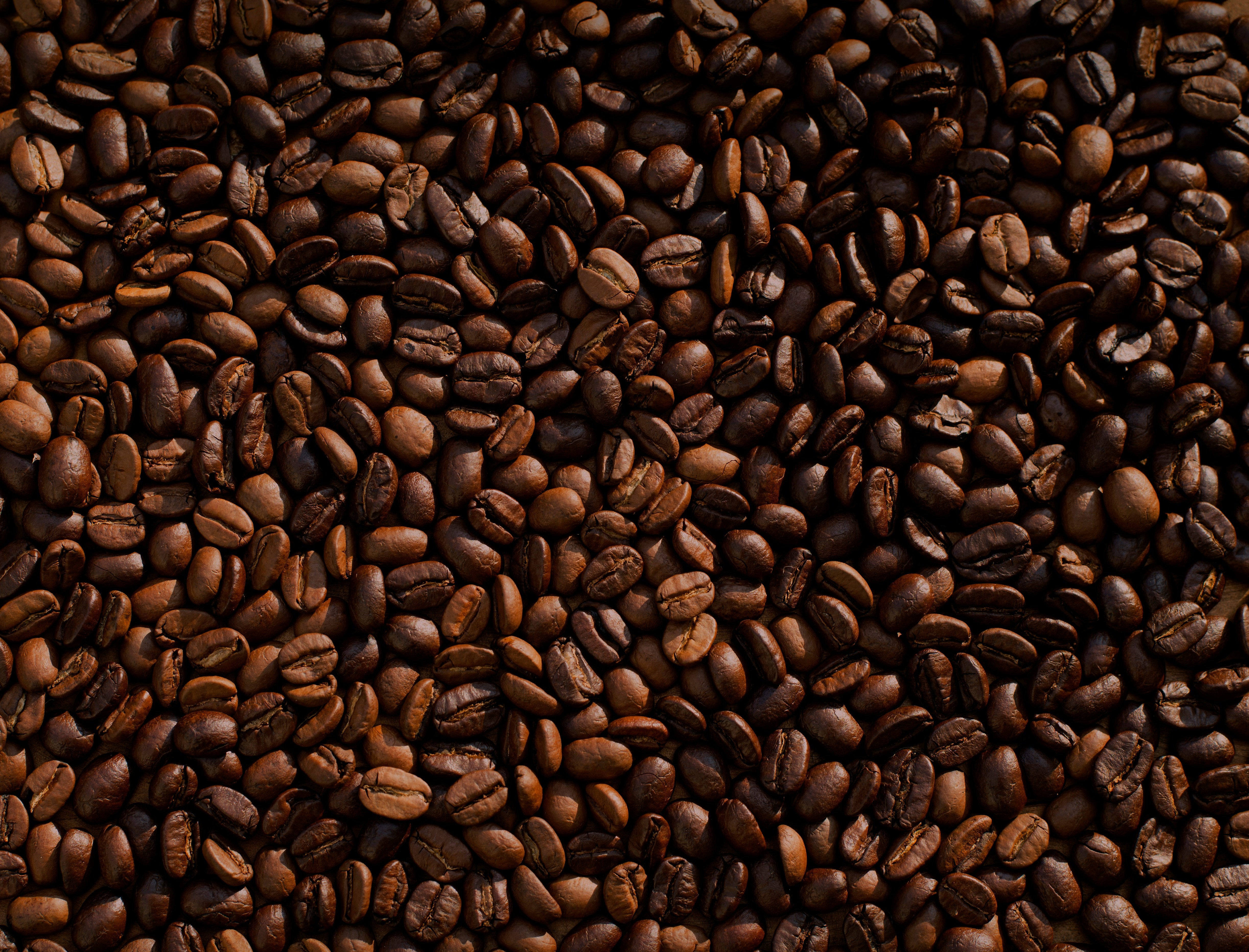 Café que fica no Brasil é ruim? Entenda de onde vem essa ideia e se ela é verdadeira