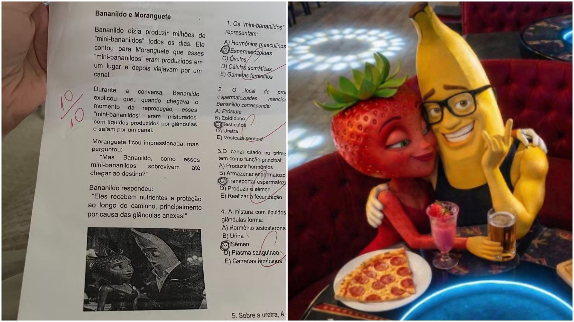 Bananildos e espermatozoides: questão de reprodução humana com frutas do TikTok viraliza, mas pode confundir crianças