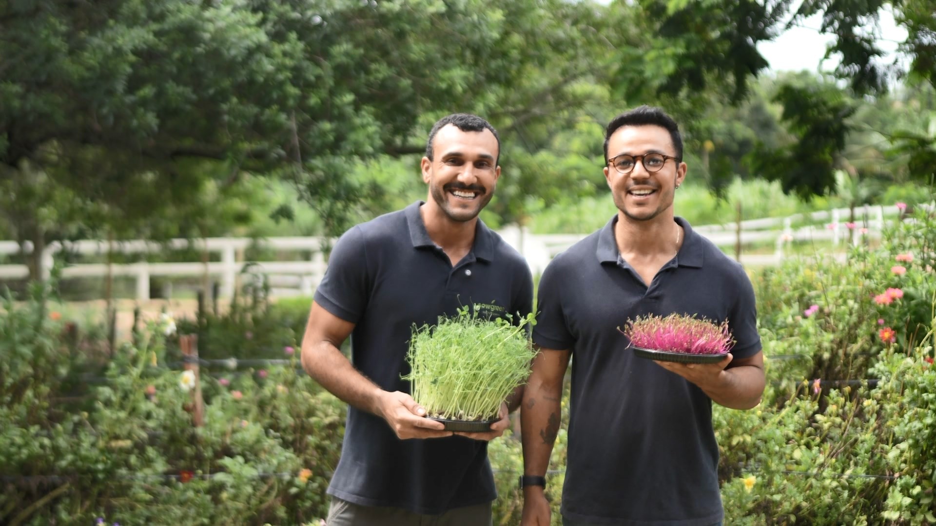 De 'mato de comer' à alta gastronomia: agrônomo aposta em plantas comestíveis e duplica faturamento em 2 anos no ES
