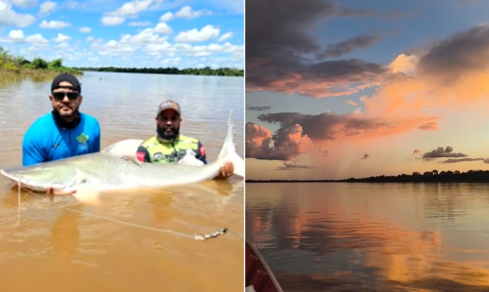 Conheça região onde peixes de até 2 metros e proibidos de serem consumidos são pescados