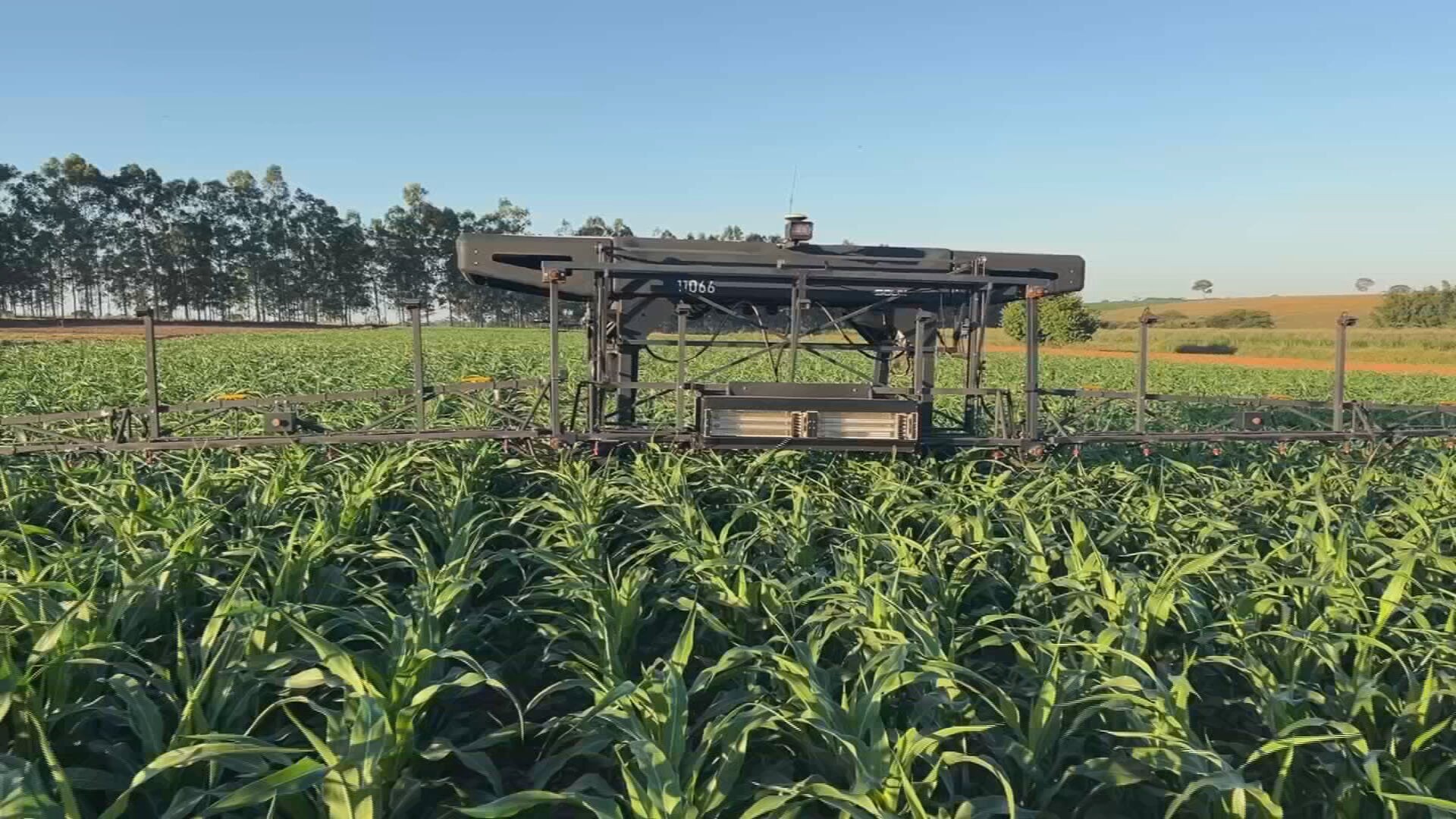 Agro 5.0: novas tecnologias mudam rotina no campo e cortam desperdício no interior de SP