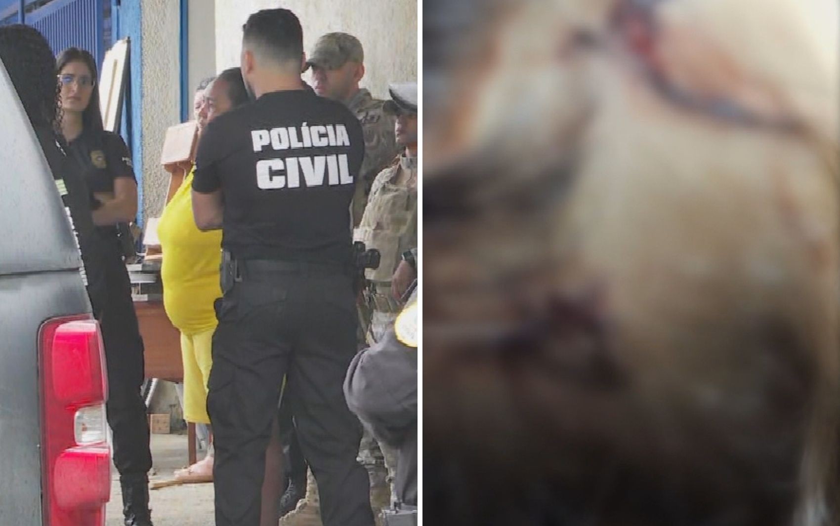 Menina de 2 anos que morreu após ser levada a hospital por babá sofreu lesões nos rins e na cabeça, diz polícia