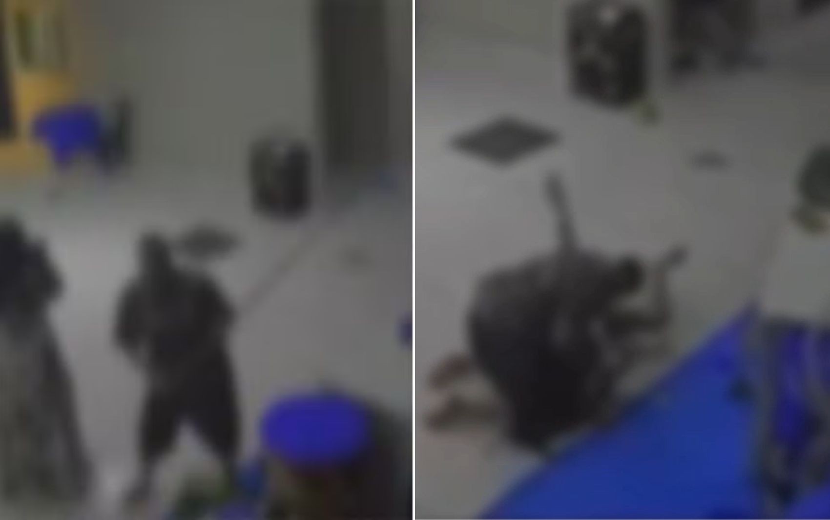 De lesão corporal e dano: veja crimes pelos quais convidada que foi filmada destruindo decoração de festa é suspeita